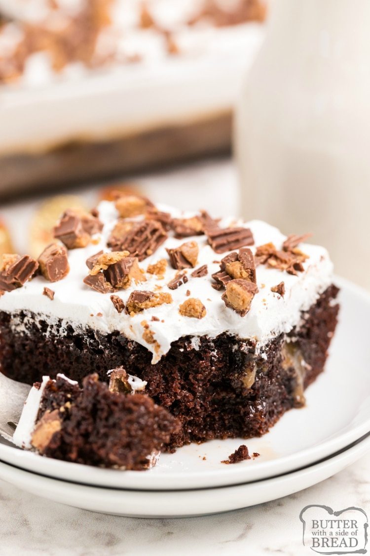 White Whocolate Cheesecake Recipe | Gordon Ramsay Restaurants